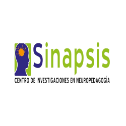 Cin Sinapsis